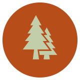 Residential Icon